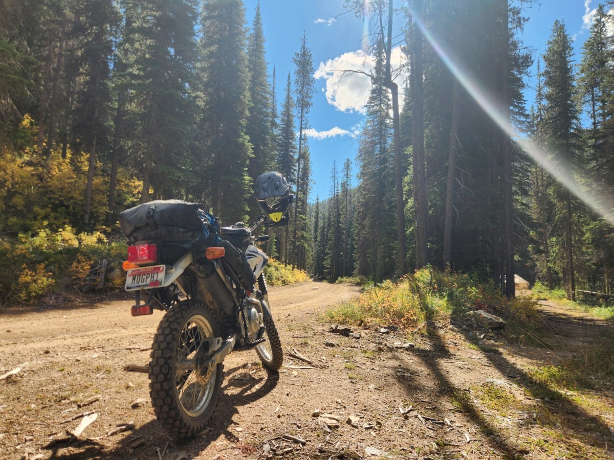 Easy Ride